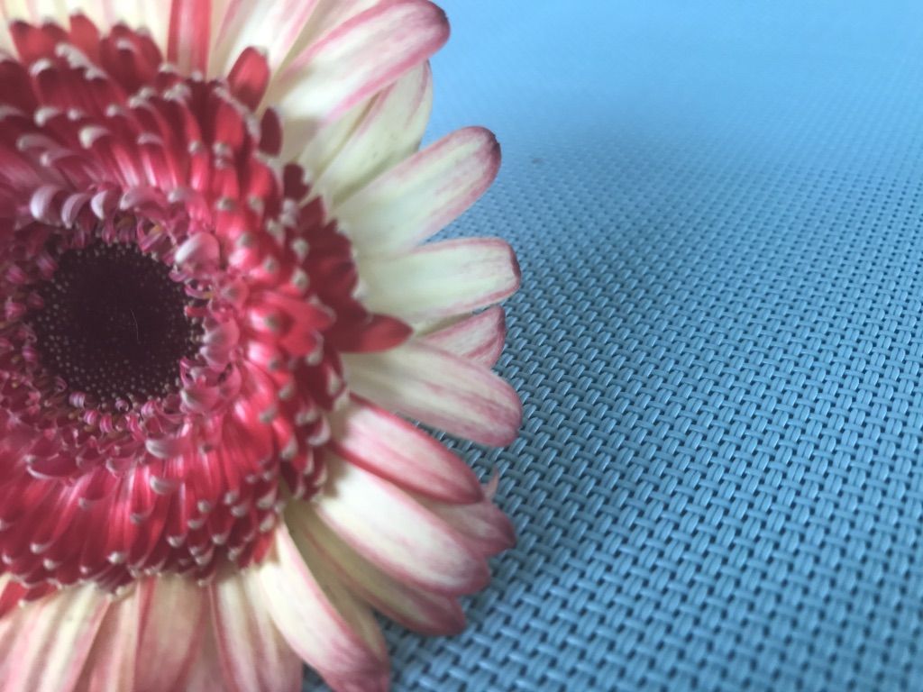 Flower Power 28