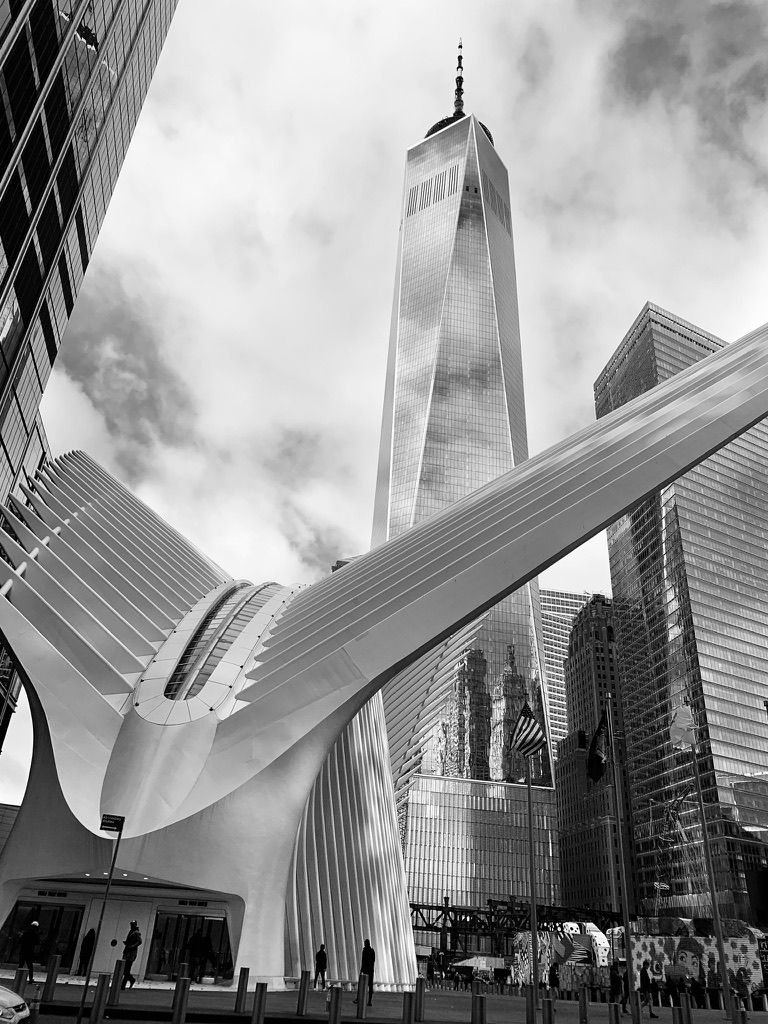 The Big Apple 10