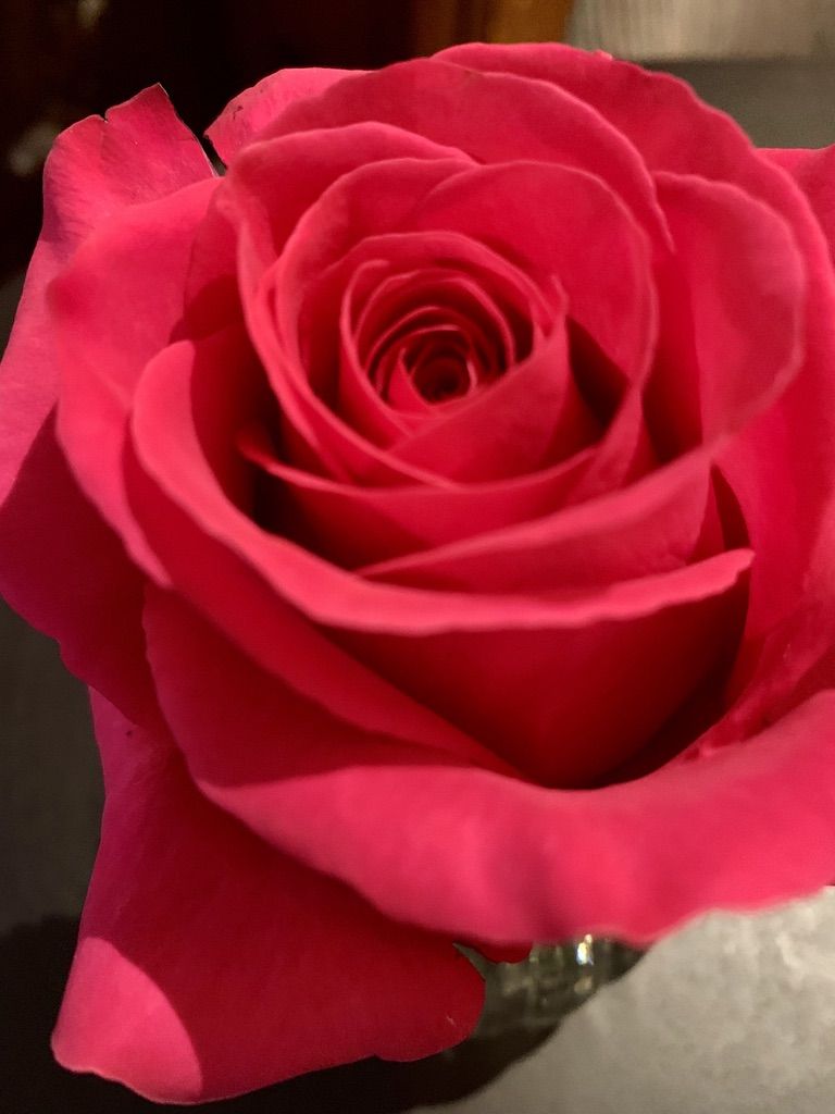Flower Power 18