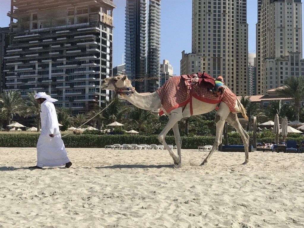Arabian Nights 21