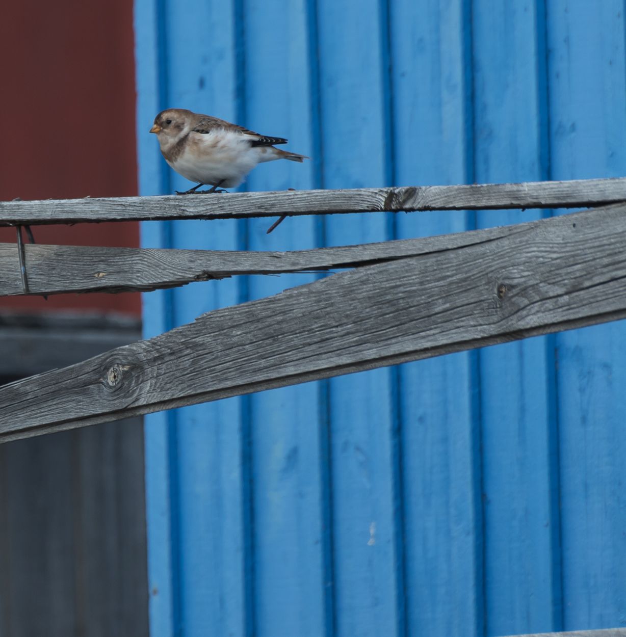 Greenland & Iceland 70