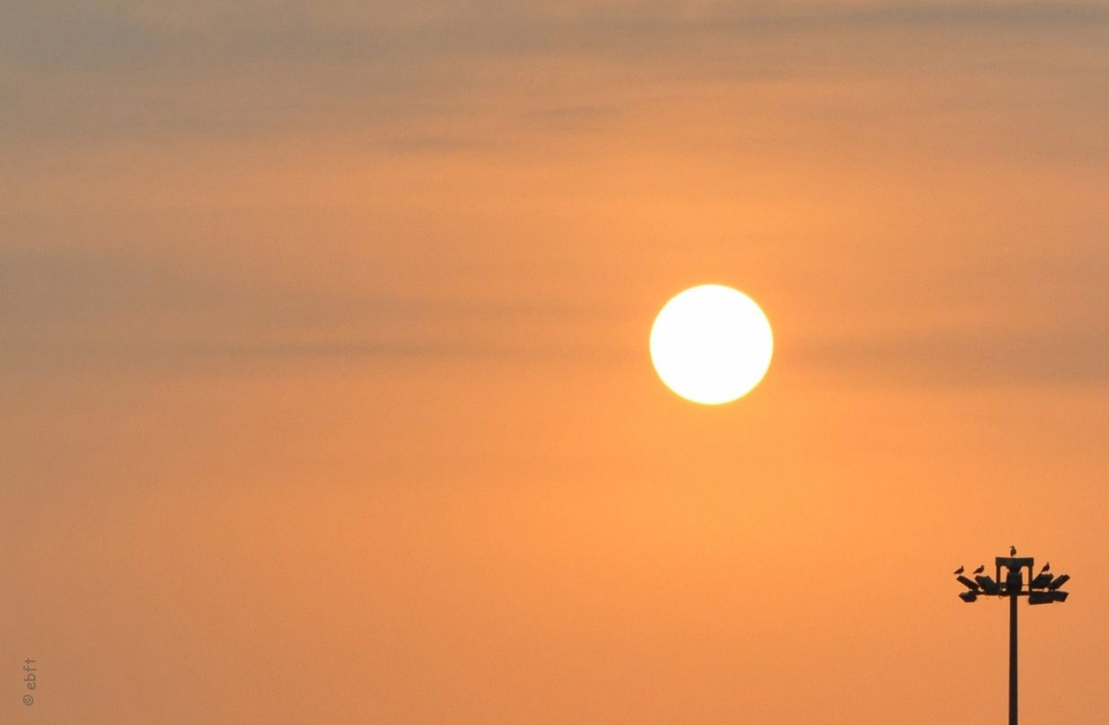 Landscapes & Sunsets 22