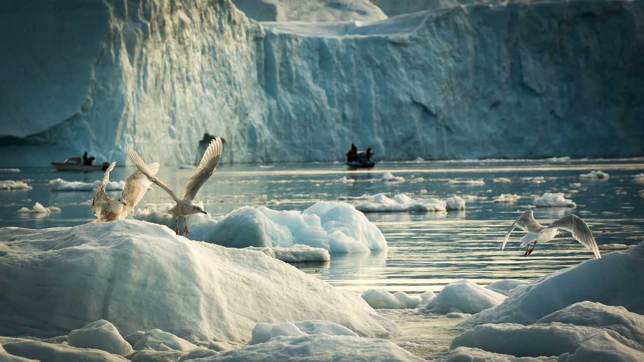 Greenland & Iceland
