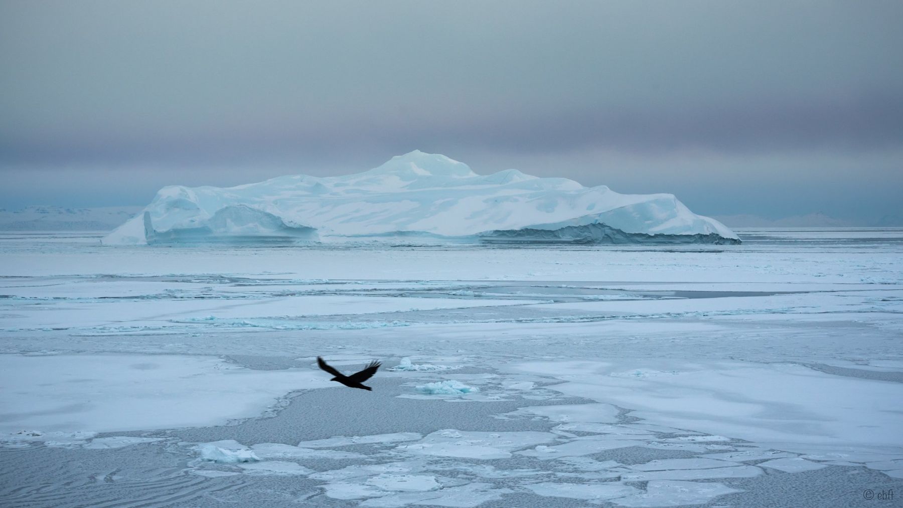 Greenland & Iceland 74