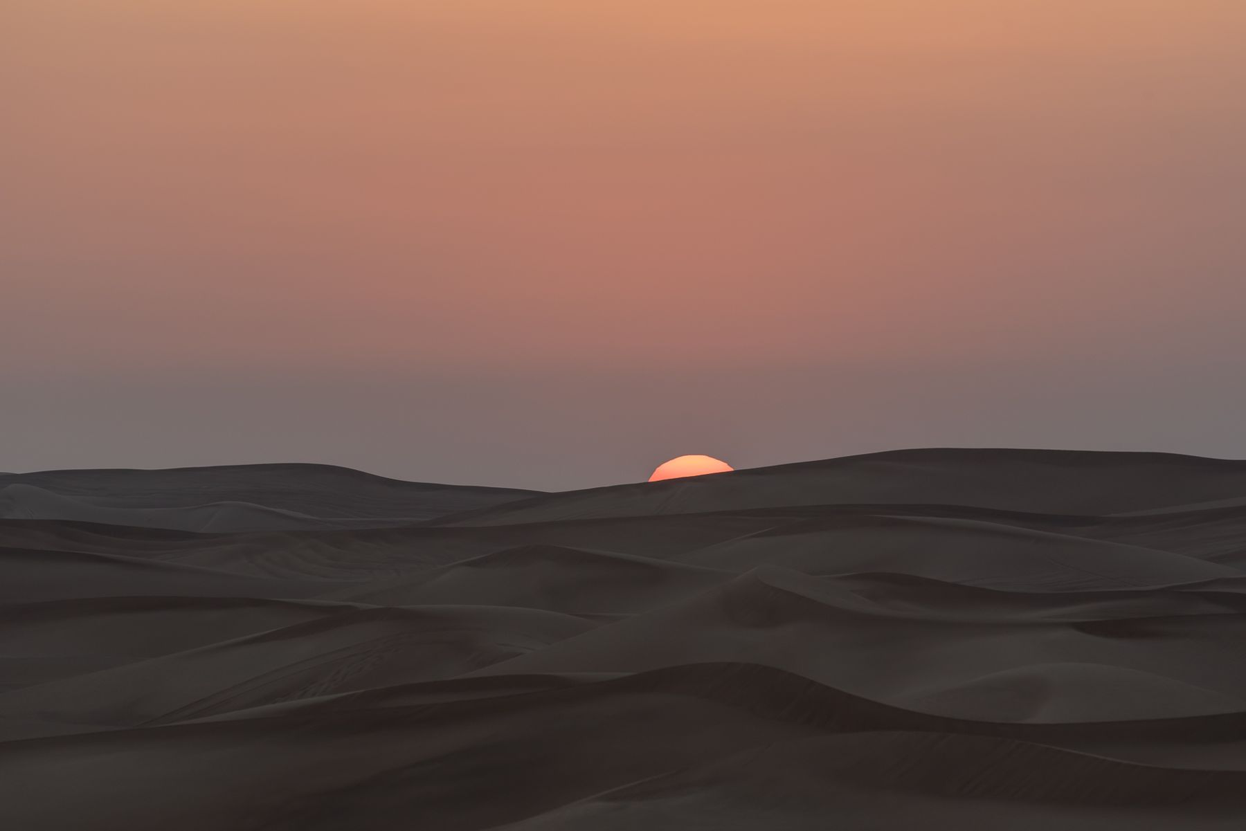 Arabian Nights