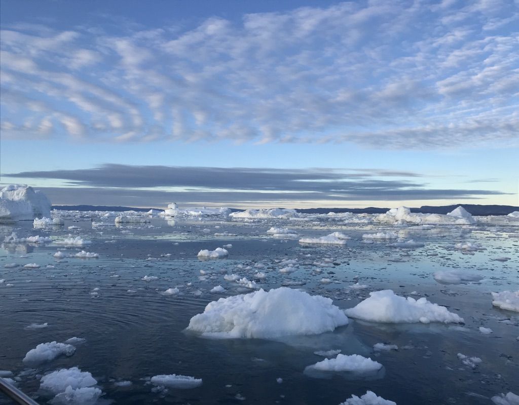 Greenland & Iceland 49