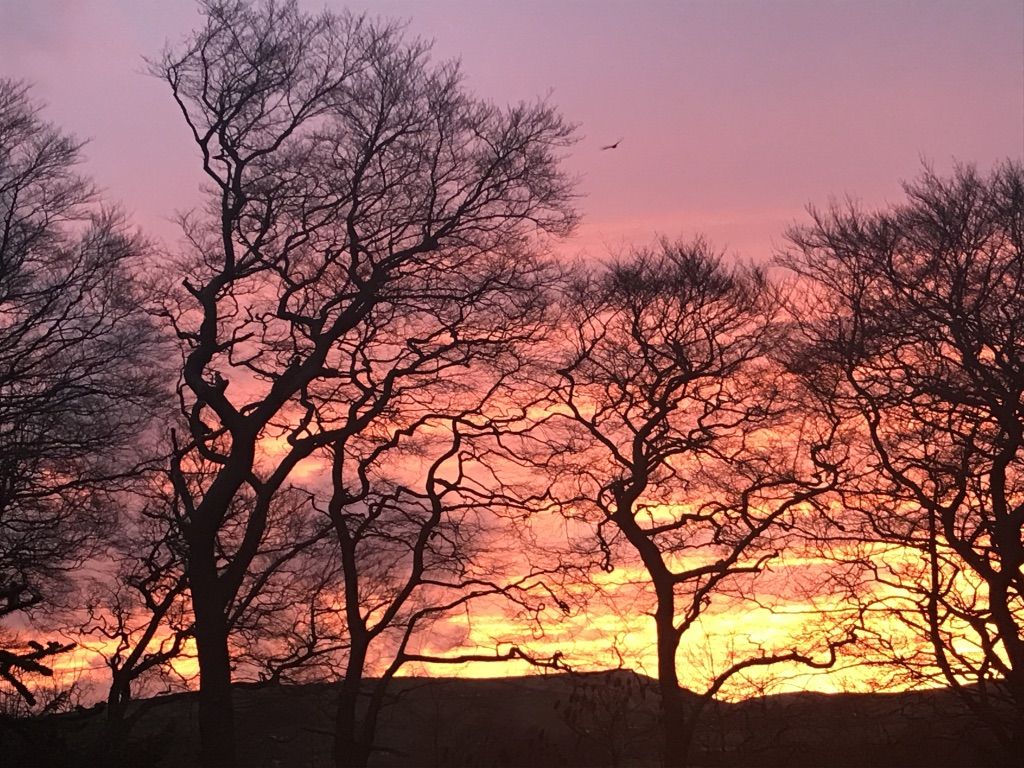 Landscapes & Sunsets 15