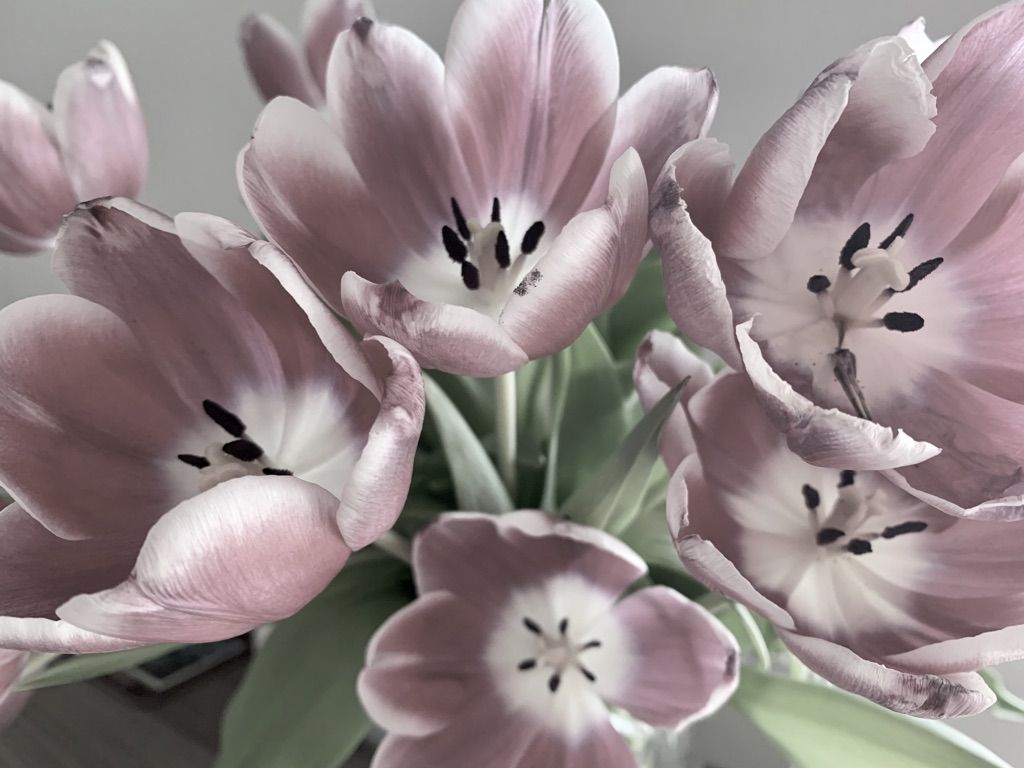 Flower Power 15