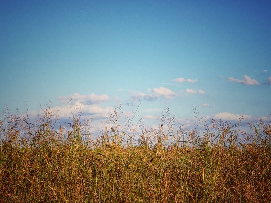 Landscapes & Sunsets 5