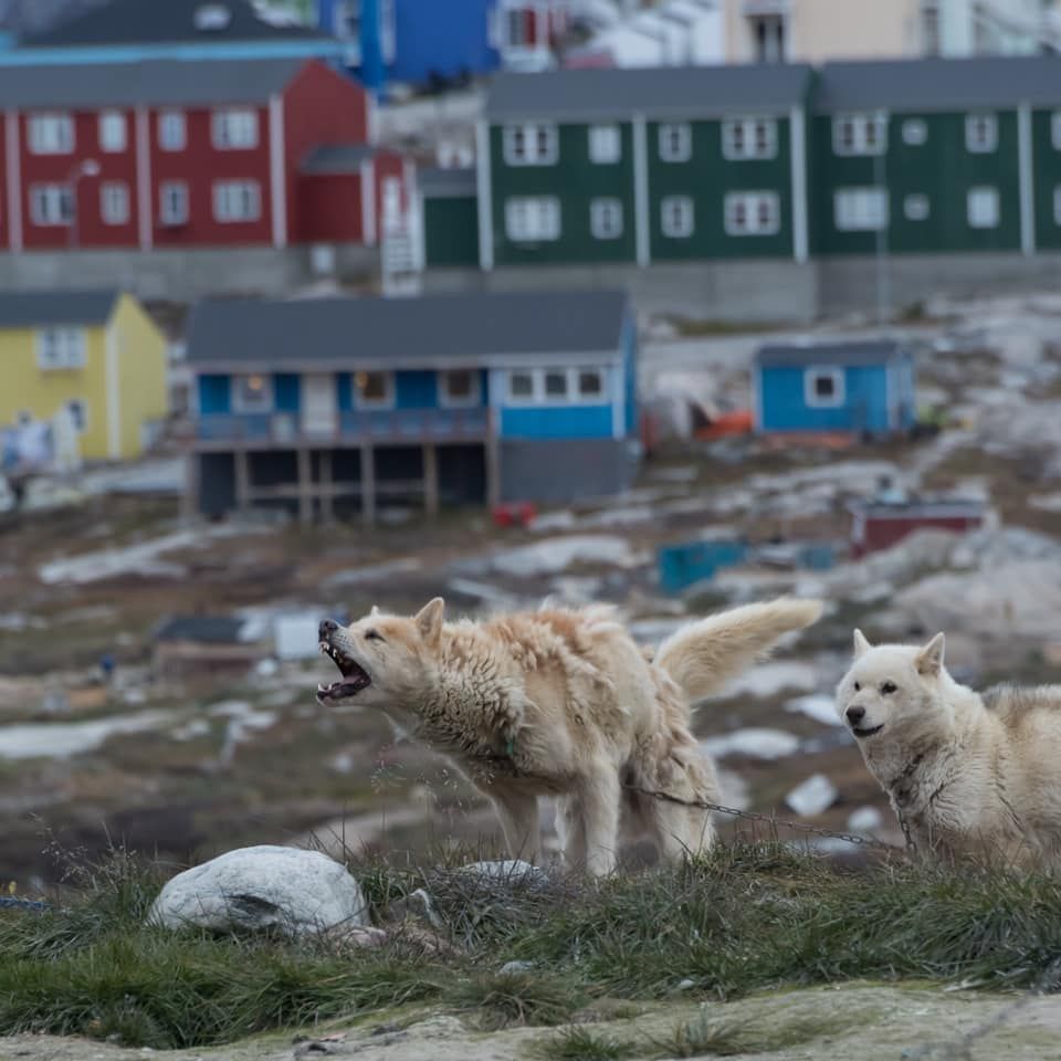 Greenland & Iceland 42